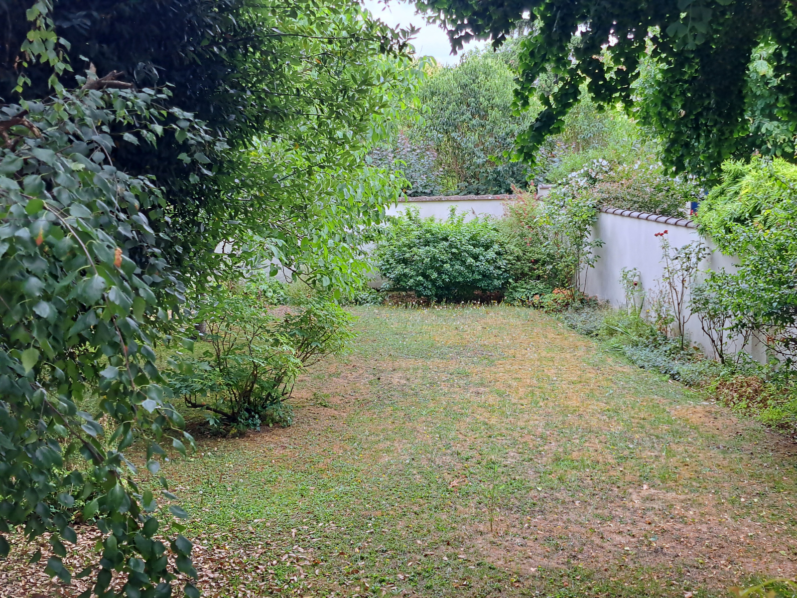 Image_8, Maison, Antony, ref :301